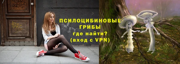 дмт Армянск